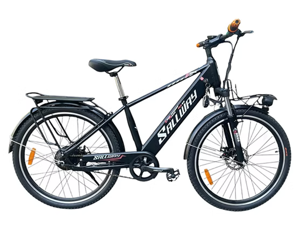 Xe đạp điện Sallway Strong 02/26